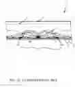 Fig. 11 - Surface light source device and LCD unit