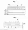 Fig. 03 - Optical film and display device having the same