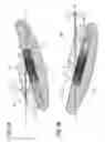 Fig. 05 - Headlamp having selectable beam