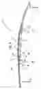 Fig. 06 - Mixing drum