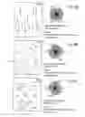 Fig. 07 - Fracture cluster mapping