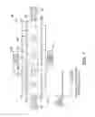 Fig. 06 - Sintered body and method for producing the same