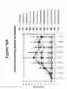 Fig. 14 - Autoimmune Conditions and NADPH Oxidase Defects
