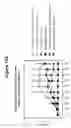 Fig. 18 - Autoimmune Conditions and NADPH Oxidase Defects
