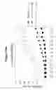 Fig. 26 - Autoimmune Conditions and NADPH Oxidase Defects