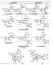 Fig. 01 - ANDROGENE MEMBRANE RECEPTOR AGONIST