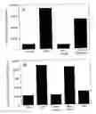 Fig. 01 - c-Mpl LIGAND POLYPEPTIDE