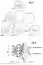 Fig. 04 - Neural-network based surrogate model construction methods and applications thereof