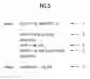 Fig. 06 - Method of sharing registers in a processor and processor