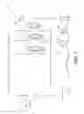 Fig. 07 - Shift Member and Gear Shifting Arrangement Comprising the Shift Member