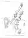 Fig. 02 - Bicycle toe positioning device
