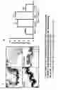 Fig. 16 - PULSE DRUG NEBULIZATION SYSTEMS, FORMULATIONS THEREFORE, AND METHODS OF USE
