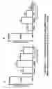 Fig. 17 - PULSE DRUG NEBULIZATION SYSTEMS, FORMULATIONS THEREFORE, AND METHODS OF USE