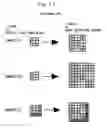 Fig. 12 - Two-dimensional modulation method for hologram recording and hologram apparatus with encoder for driving SLM displaying boundary portion