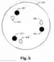 Fig. 06 - Biometrics based on locally consistent features