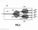 Fig. 06 - Optical functional circuit