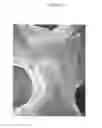 Fig. 09 - Deposition products, composite materials and processes for the production thereof