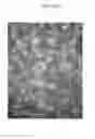 Fig. 10 - Deposition products, composite materials and processes for the production thereof