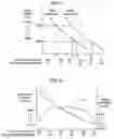 Fig. 06 - Strain sensor and method for manufacture thereof