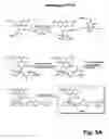 Fig. 28 - Detecting and profiling molecular complexes