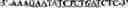 Fig. 02 - Chimeric Transcription Factor Decoy Oligonucleotides