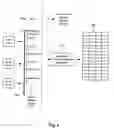 Fig. 05 - Methods for forcing an update block to remain sequential