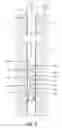 Fig. 07 - Optimized machining process for cutting tubulars downhole