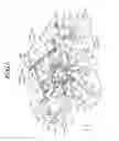 Fig. 04 - Stage Apparatus and Exposing Apparatus