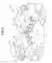 Fig. 10 - Stage Apparatus and Exposing Apparatus