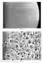 Fig. 02 - Macroporous copolymers with large pores