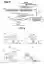 Fig. 13 - Method and apparatus for observing a specimen