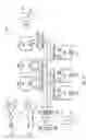 Fig. 02 - Signaling circuit and method for integrated circuit devices and systems