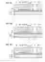 Fig. 07 - Liquid ejecting head and method for manufacturing the same