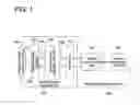 Fig. 02 - EXTENDED DEPTH OF FIELD FORMING DEVICE