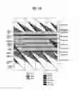 Fig. 07 - DTV receiving system and method of processing DTV signal