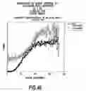 Fig. 41 - Data processing method, data processing apparatus, mask generation method, and mask pattern