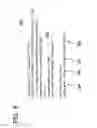 Fig. 09 - Method of creating decompressed data