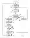 Fig. 23 - Wireless network apparatus and system field of the invention