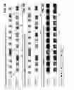 Fig. 16 - Multiradio management through shared time allocation