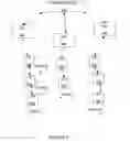 Fig. 07 - Wireless network beacon timing
