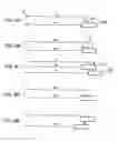 Fig. 06 - Time shared rake fingers and path searcher