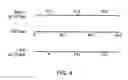 Fig. 08 - Time shared rake fingers and path searcher