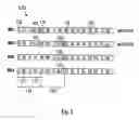 Fig. 09 - Method and apparatus for synchronization of base stations in a broadband wireless access system