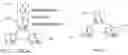 Fig. 03 - System and method for preventing count-to-infinity problems in ethernet networks