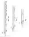 Fig. 11 - System and method for wireless communication of uncompressed video having data transmission on a secondary low rate channel