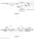 Fig. 02 - Method, system and device for clock transmission between sender and receiver