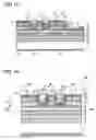 Fig. 08 - Semiconductor laser chip and method of formation thereof