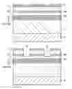 Fig. 11 - Vertical cavity surface emitting laser and method for manufacturing the same