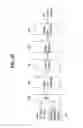 Fig. 19 - Digital broadcasting system and method of processing data