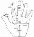 Fig. 01 - Method of multi-modal biometric recognition using hand-shape and palmprint